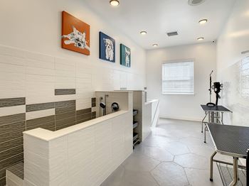 Two pet spas for pampering your furry friend
